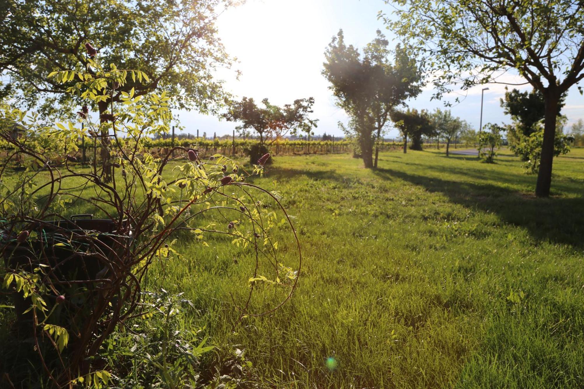 Valle Di Assisi Country Apartments 外观 照片