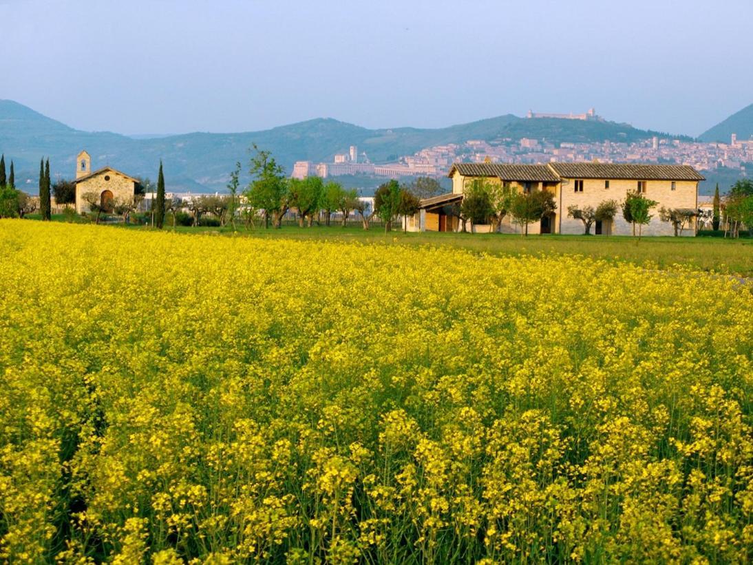 Valle Di Assisi Country Apartments 外观 照片