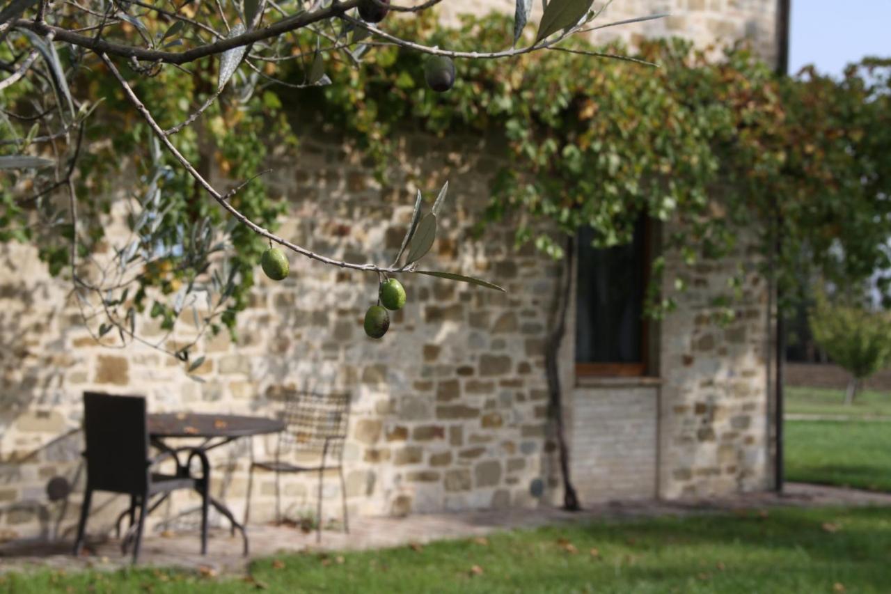 Valle Di Assisi Country Apartments 外观 照片